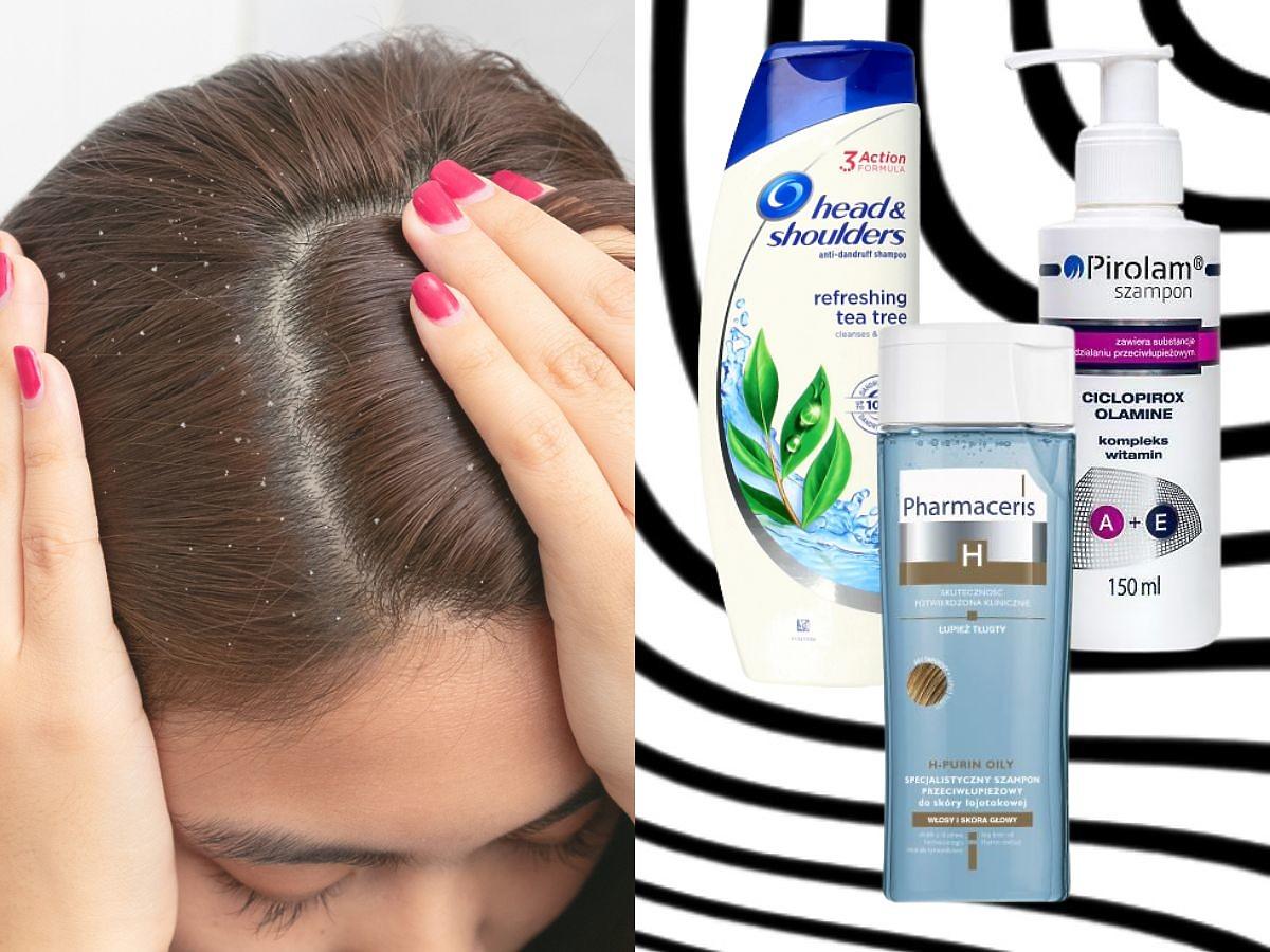 polecany szampon przeciwłupieżowy