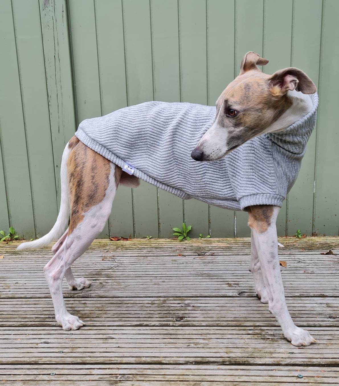 whippet pieluchy