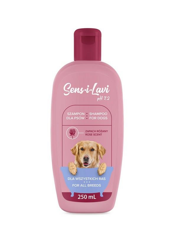 szampon na wszy dla psa