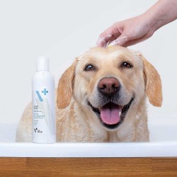 dobry szampon dla psa alergika