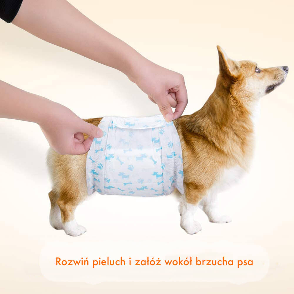 pieluchy dla psa samiczki