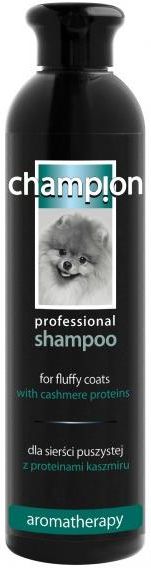 champion champion szampon dla psów o sierści puszystej