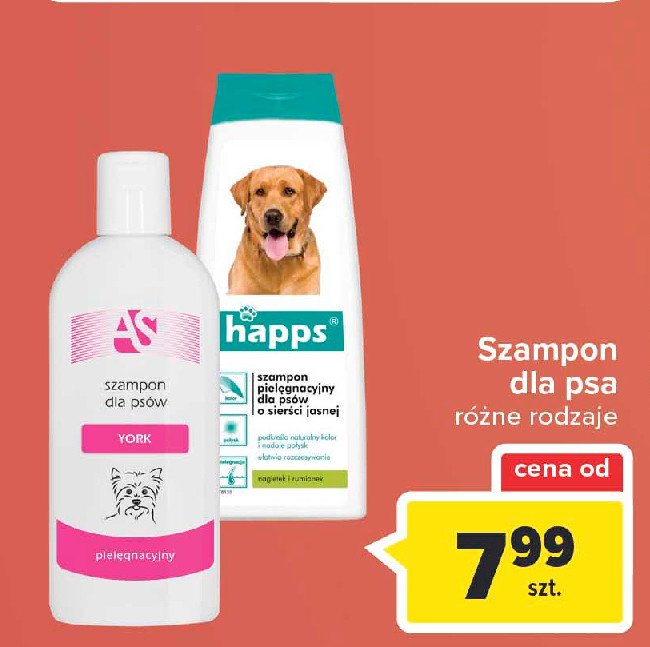 gdzie można kupić szampon dla psa