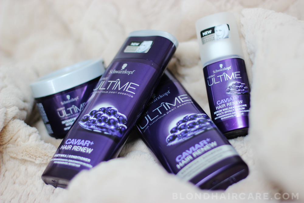 essence ultime caviar szampon cena