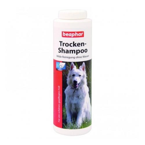 jaki najlepszy uchy szampon dla psa