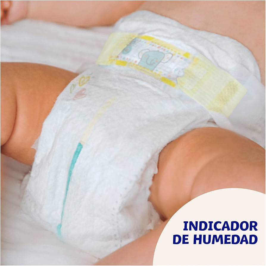 cerata pampers