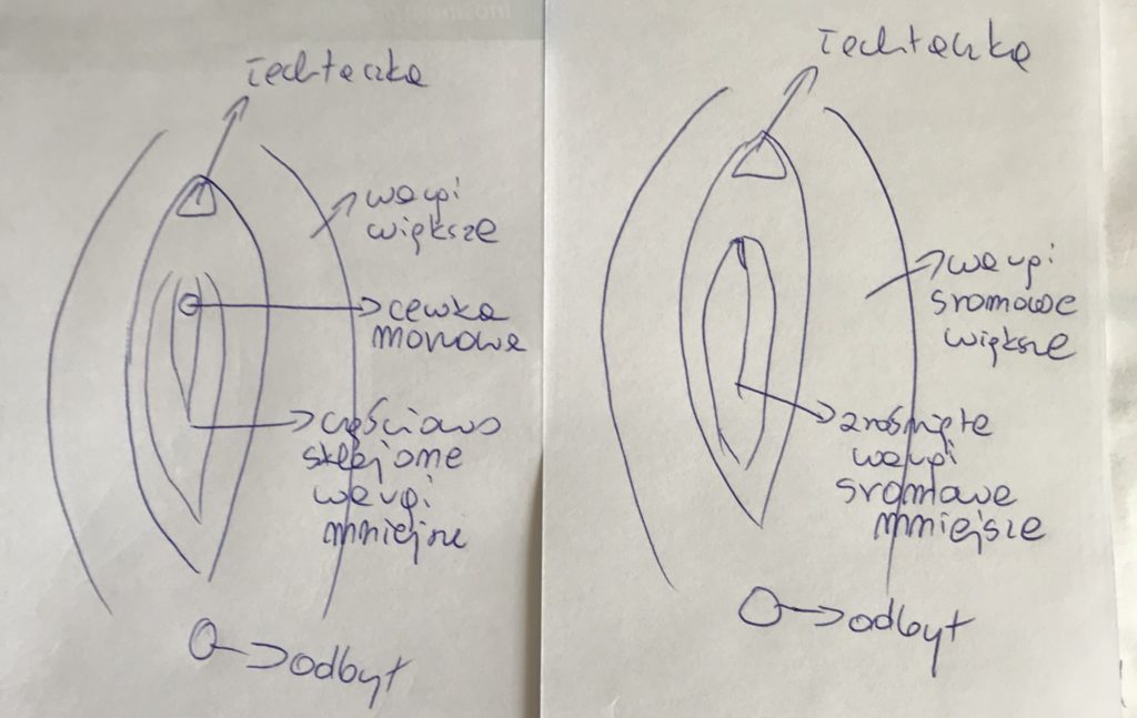 chusteczki nawilżane odbyt podrażniają wargi sromowe