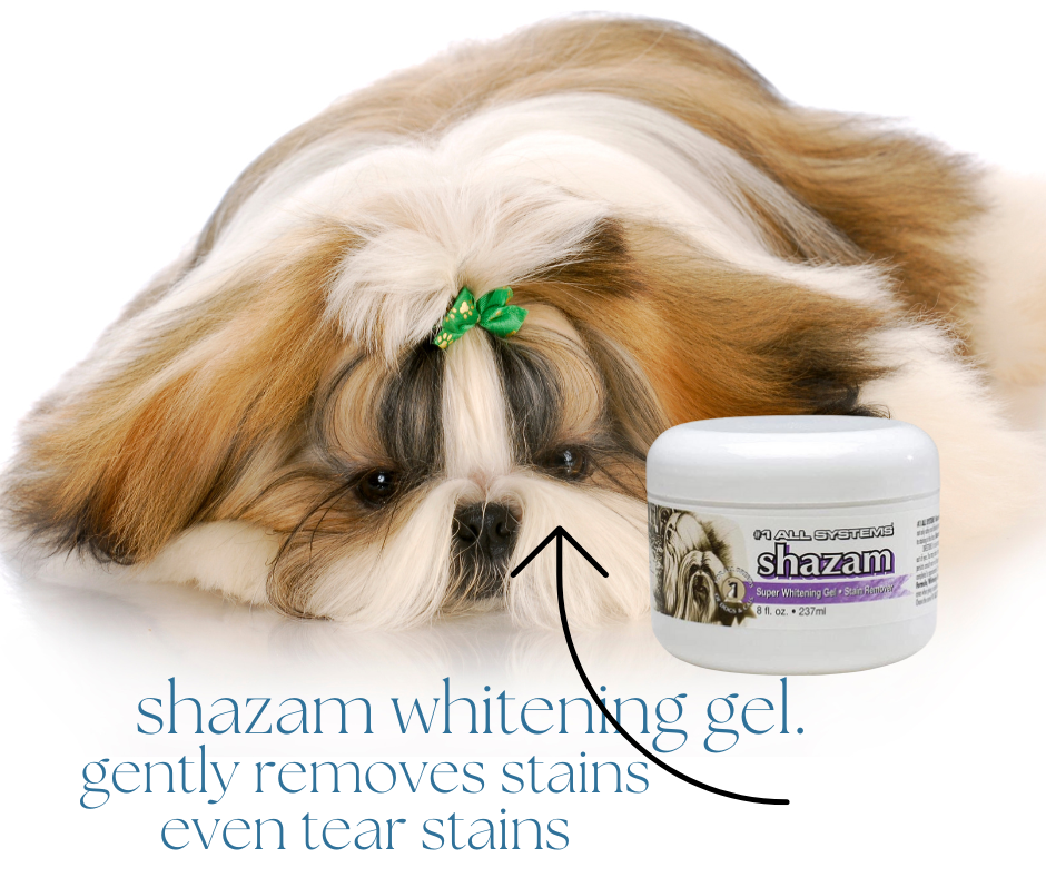 szampon dla shih tzu 1 all systems