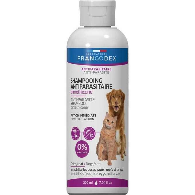 szampon na pchly dla psow wszy u dziecka
