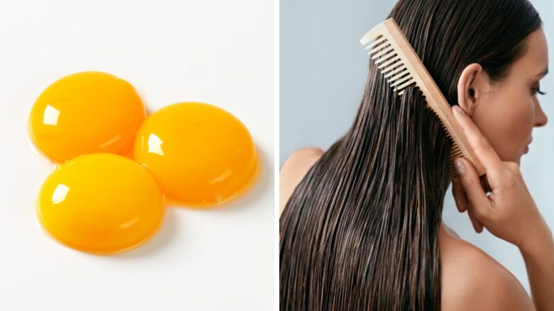 odżywka do włosów z jajka i szamponu