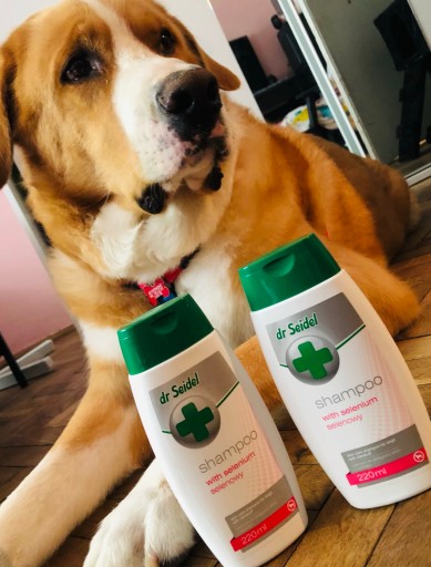 szampon dla psów z selenem