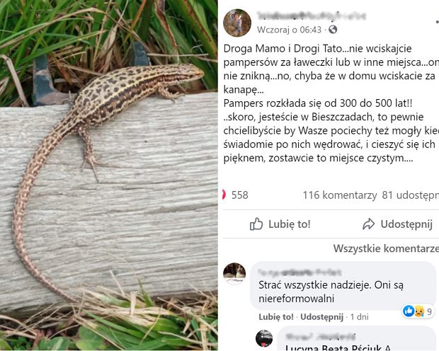 lakiery do włosów profesjonalne