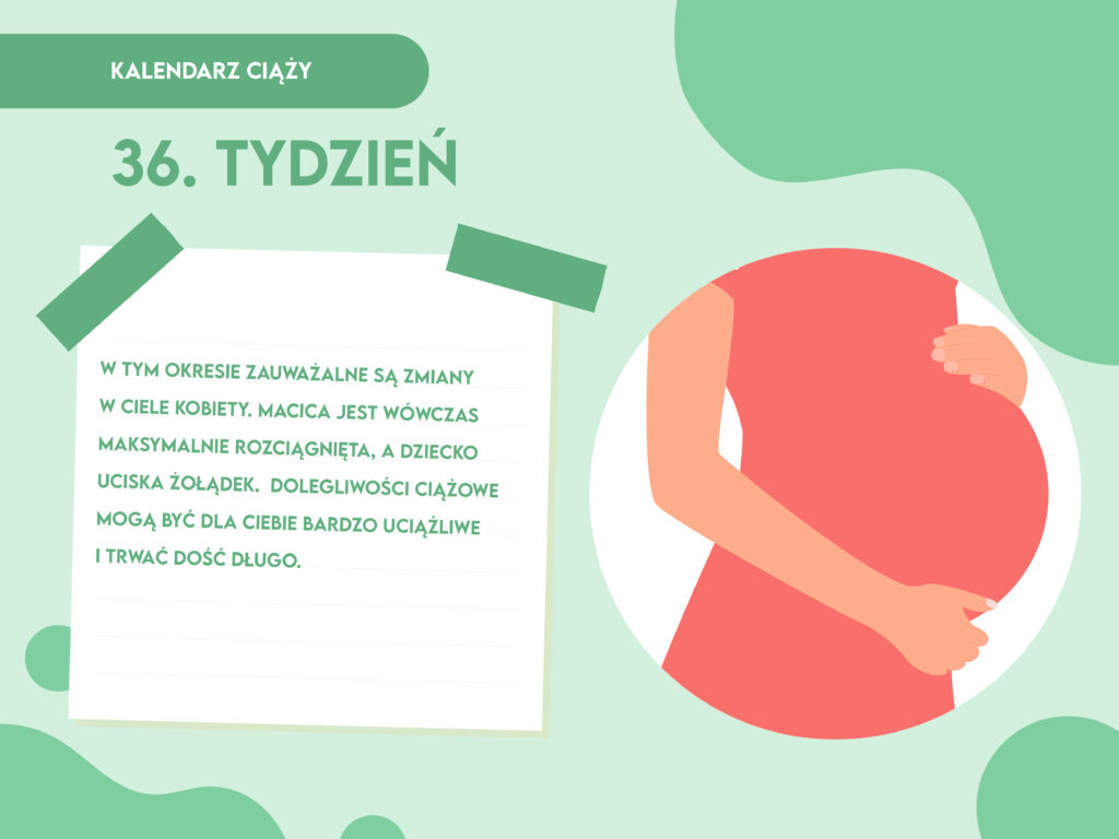 36 tydzień ciąży waga dziecka pampers