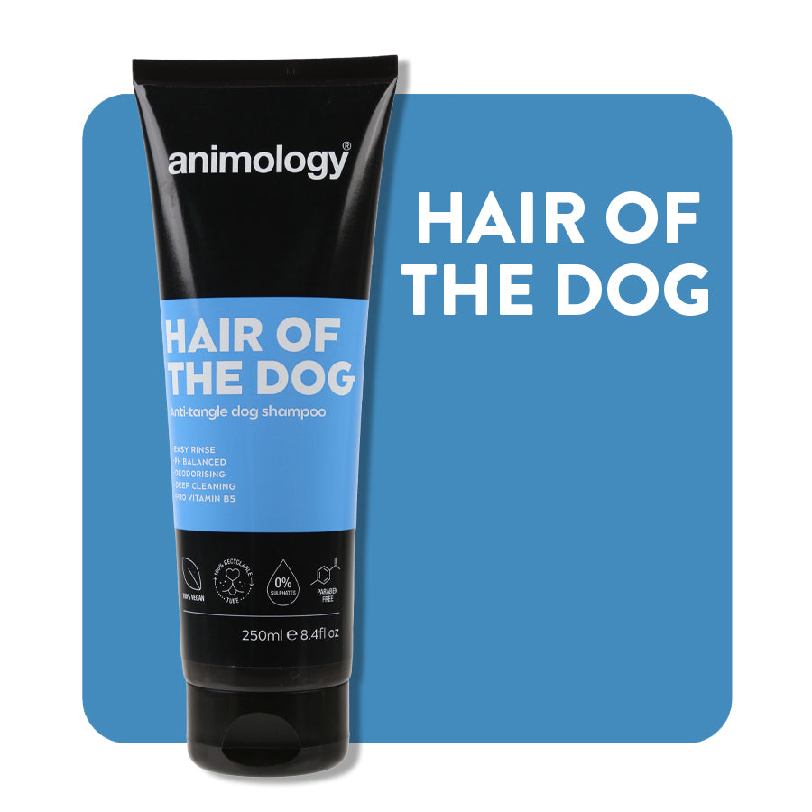 animology szampon dla psa hair of the dog