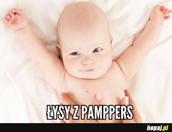 łysy z pampers