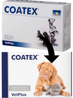 coatex szampon dla psa