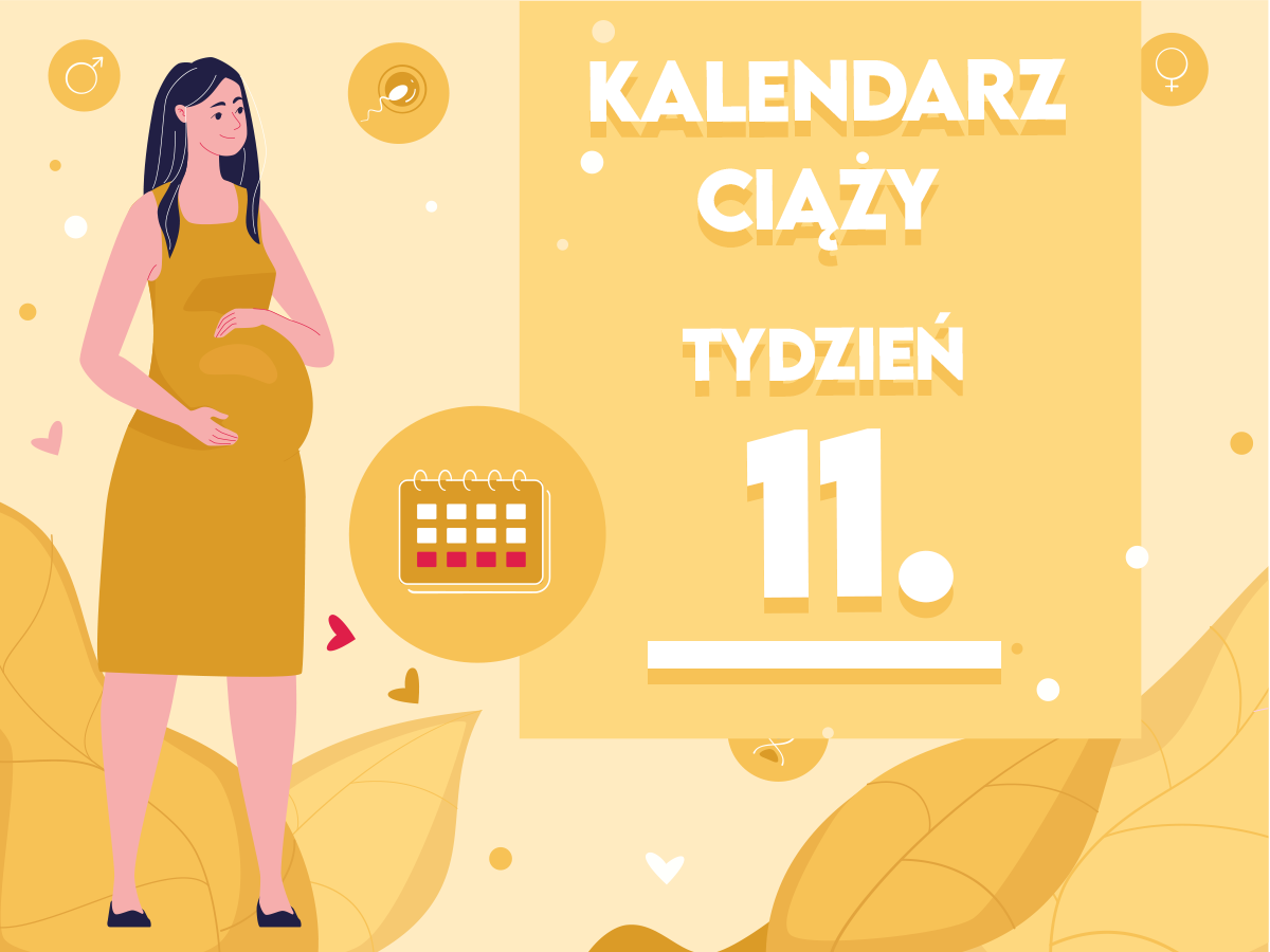 11 tydzień ciązy pampers