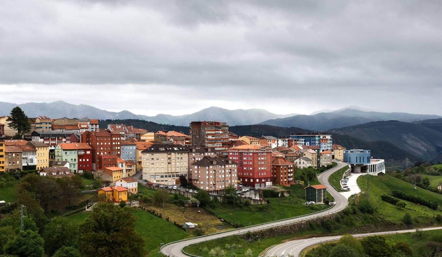 Tineo