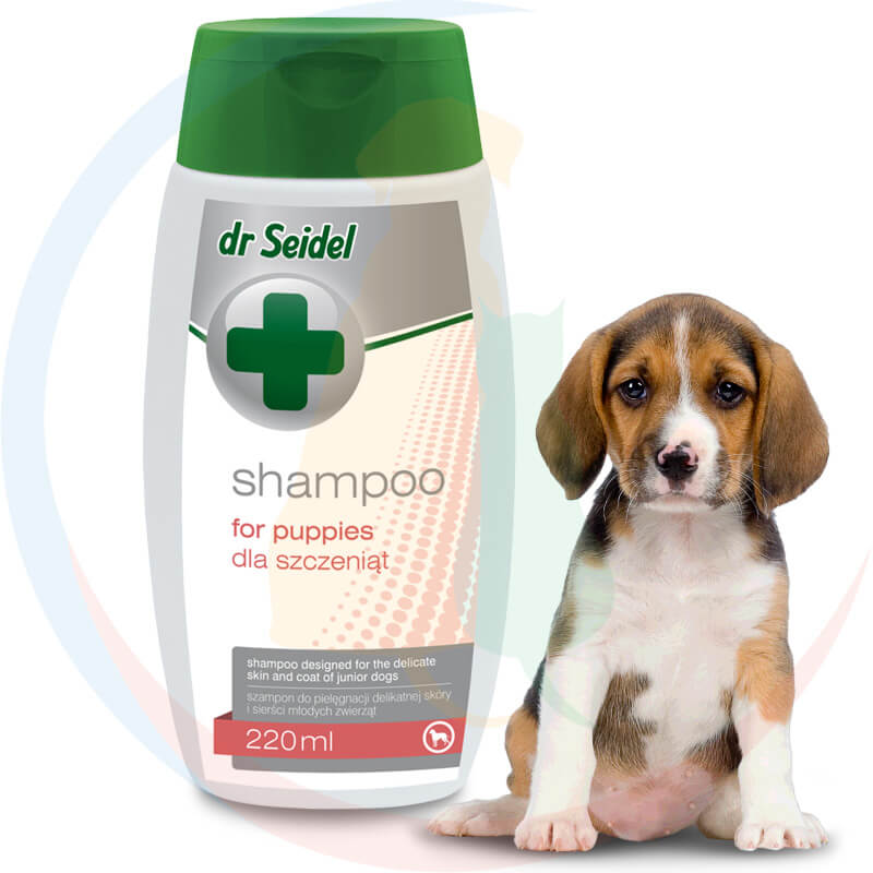 szampon dla szczeniat beagle