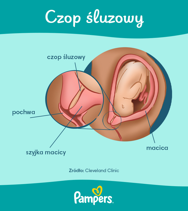 pampers ciąża dzień po dniu