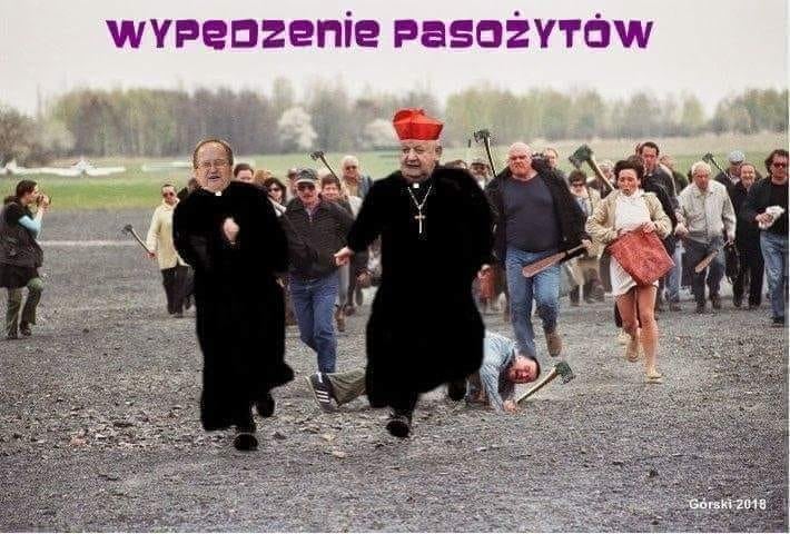 szampon dla dzieci apteczny