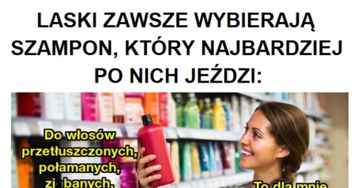 laski zawsze wybieraja szampon ktory najbardziej po nich jezdzi