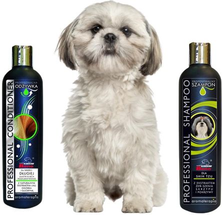 groomer poleca szampon dla shih tzu