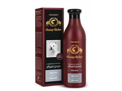 szampon champion champ richer opinie