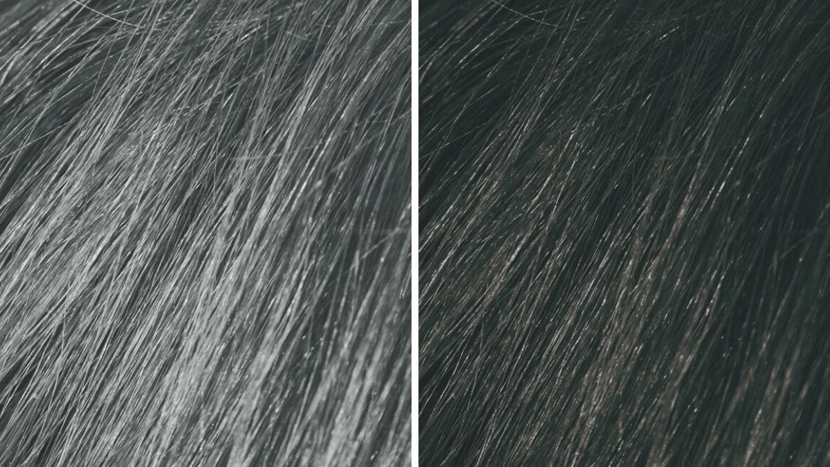 szampon koloryzujacy czarny na siwe wlosy