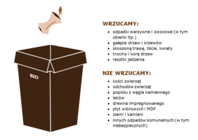 beaver keratynowa budowa włosów szampon