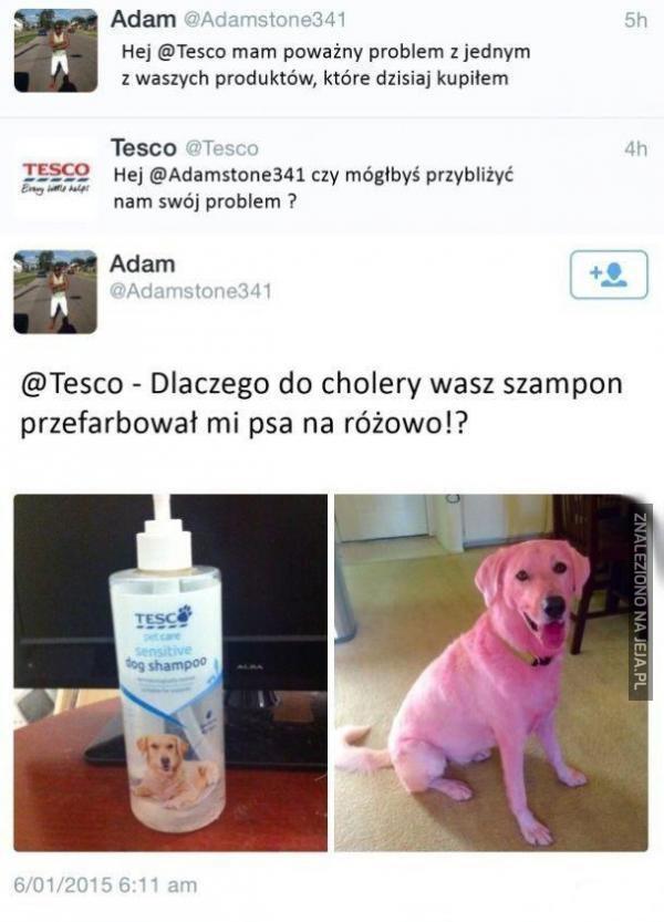 szampon do psa tesco