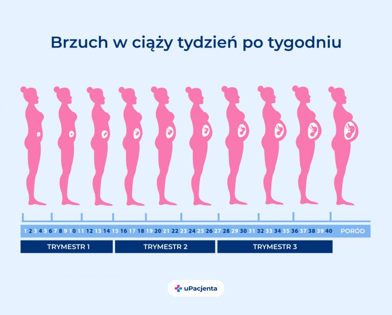 etapy ciązy tydzień po tygodniu pampers