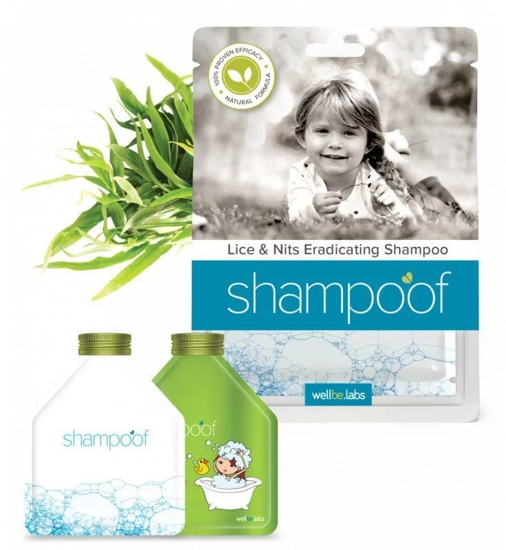 shampoof szampon na wszy 80ml