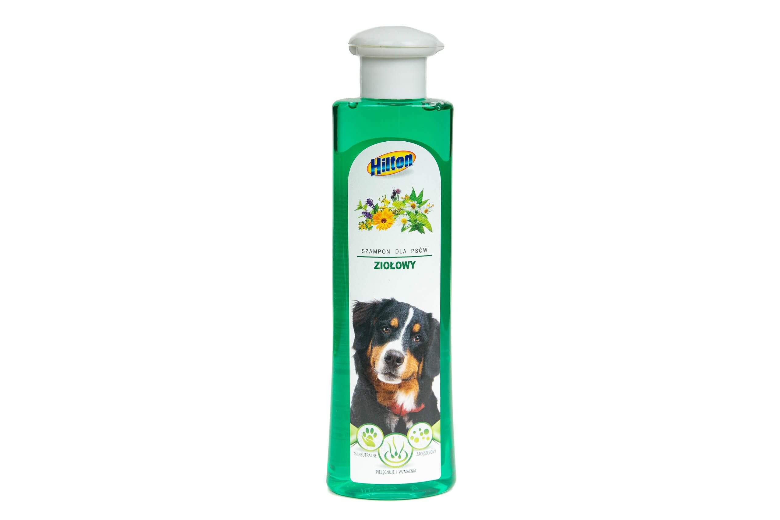 hilton szampon ziołowy dla psa dla człowieka