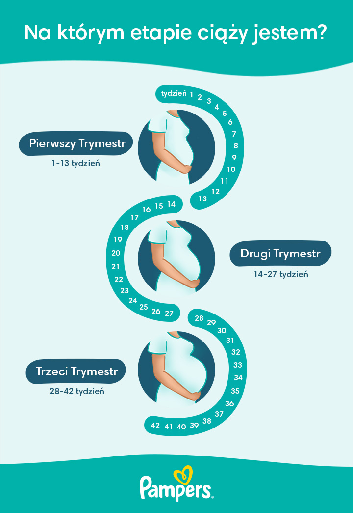 etapy ciązy tydzień po tygodniu pampers