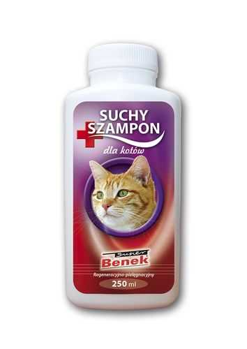 katze szampon