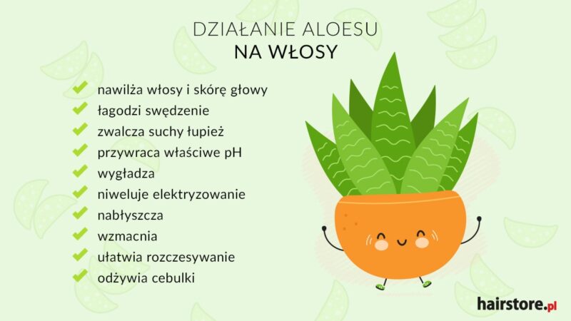 odżywka aloesowa do włosów diy