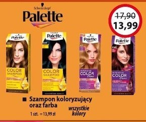 palette color shampoo szampon koloryzujący 113 czarny