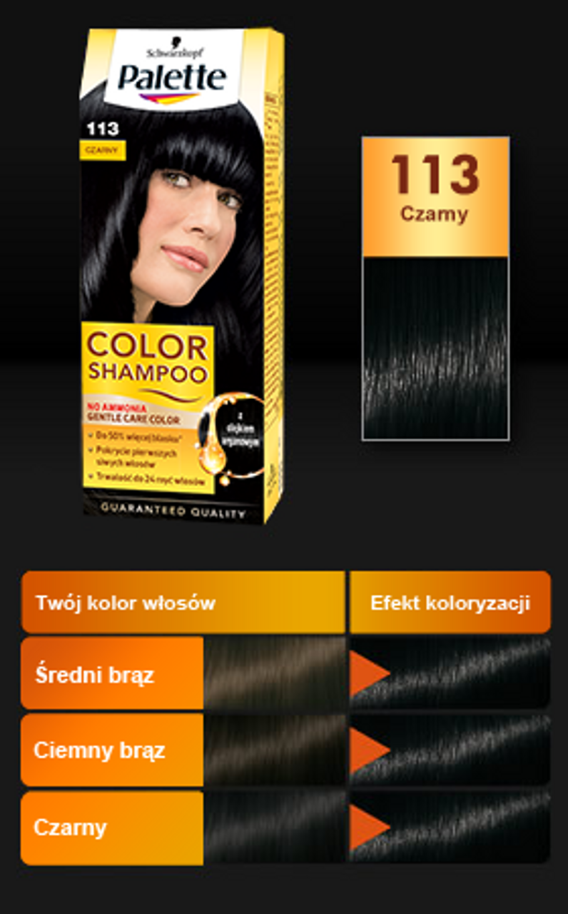 palette color shampoo szampon koloryzujący 113 czarny