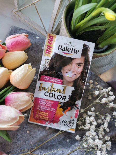 palette instant color szampon koloryzujący nr 17 średni brąz