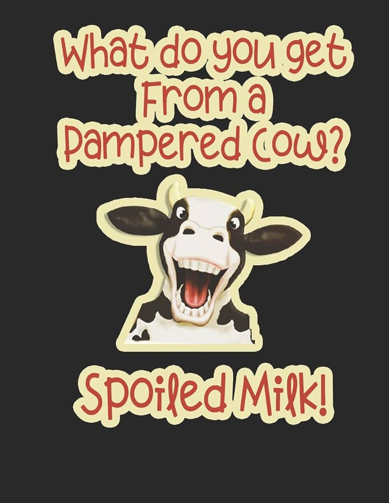 pampered cow