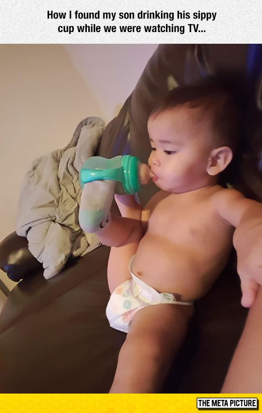 pampers and bottle meme video