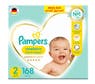 pampers.ptemium.care