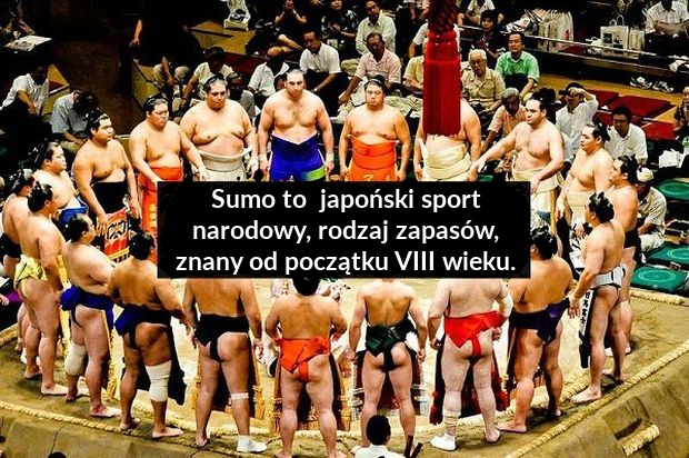 pieluchy sumo po co są