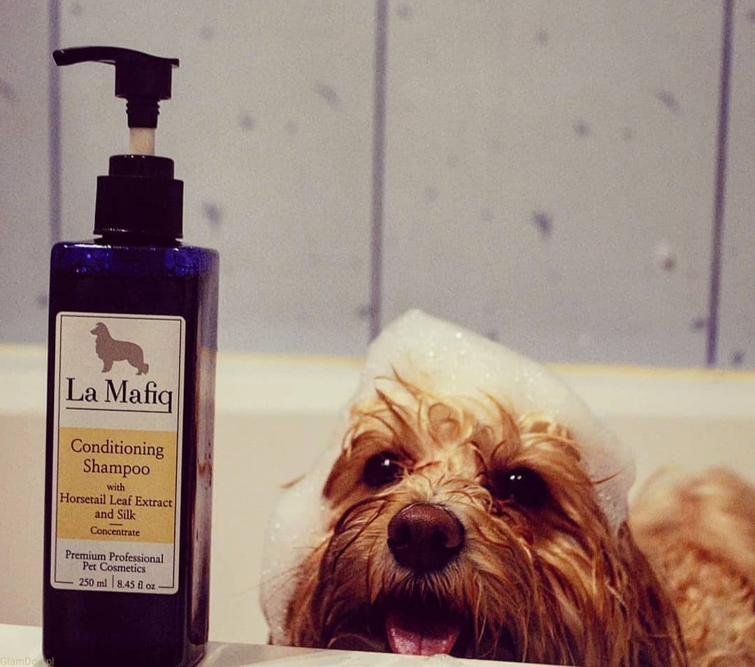 receptura na szampon dla psa