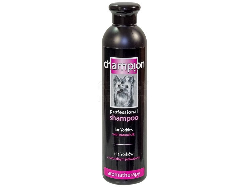 szampon champion dla szczeniąt