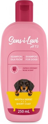 szampon dla psa chihuahua