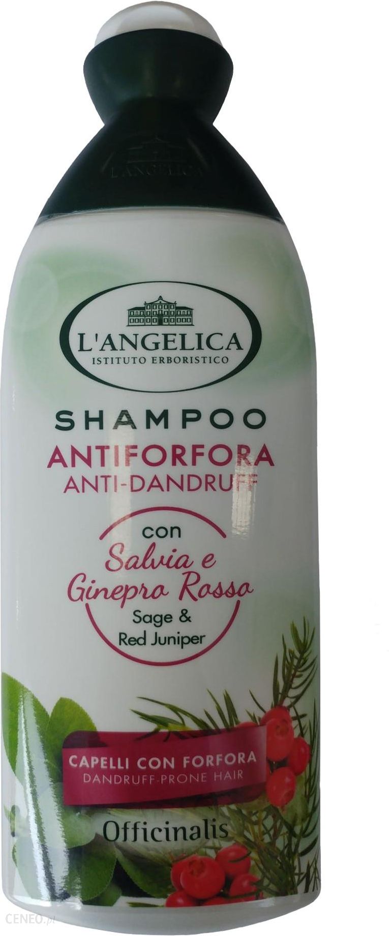 szampon do włosów langelica