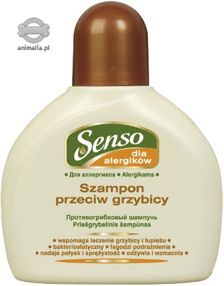 szampon przeciw grzybicy